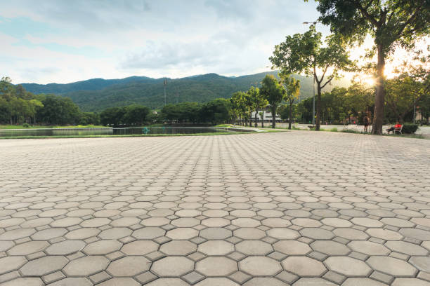 Best Driveway Paving Contractor  in Buies Creek, NC